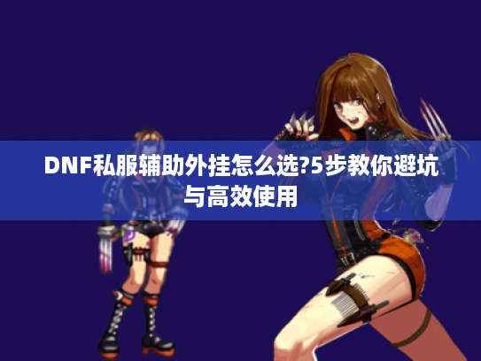 DNF私服辅助外挂怎么选?5步教你避坑与高效使用