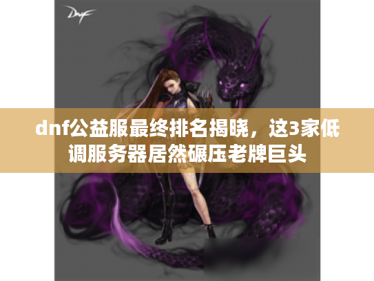 dnf公益服最终排名揭晓，这3家低调服务器居然碾压老牌巨头