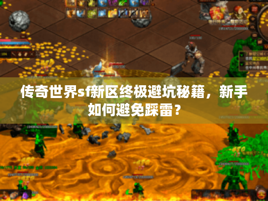 传奇世界sf新区终极避坑秘籍，新手如何避免踩雷？
