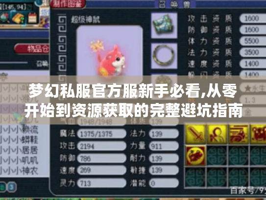 梦幻私服官方服新手必看,从零开始到资源获取的完整避坑指南