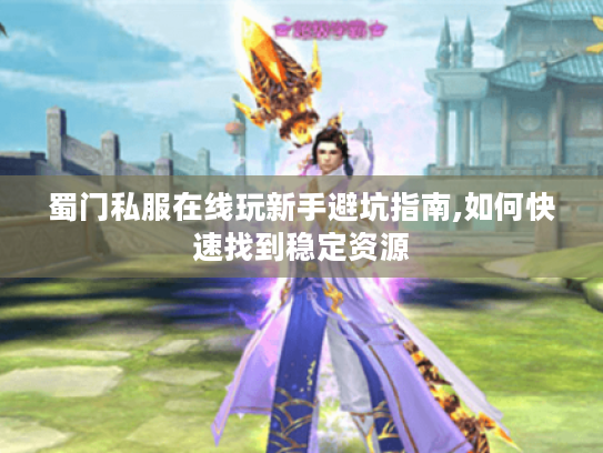 蜀门私服在线玩新手避坑指南,如何快速找到稳定资源