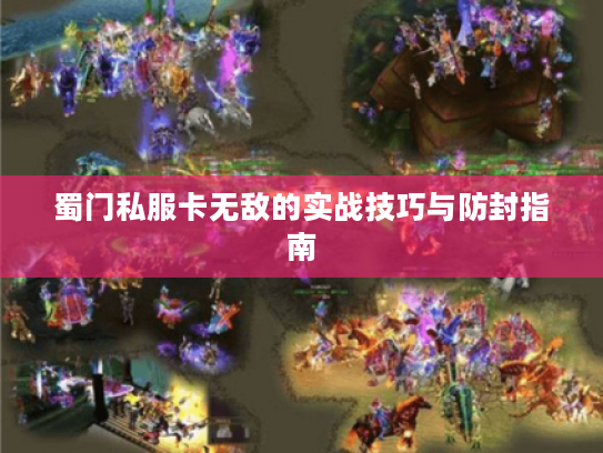 蜀门私服卡无敌的实战技巧与防封指南