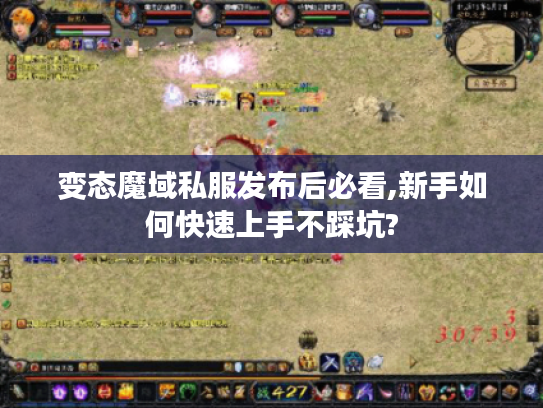 变态魔域私服发布后必看,新手如何快速上手不踩坑?