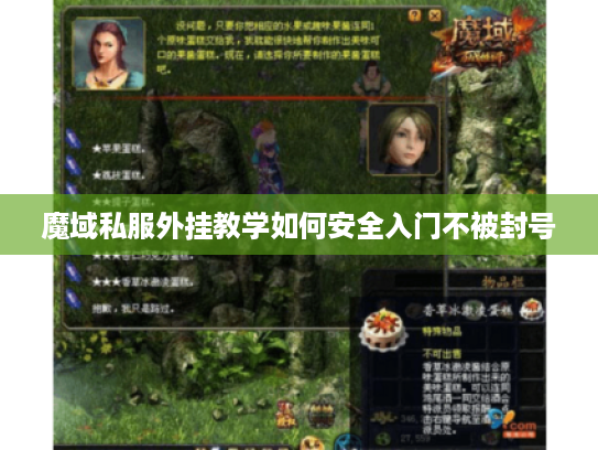 魔域私服外挂教学如何安全入门不被封号