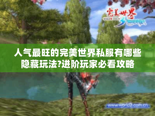 人气最旺的完美世界私服有哪些隐藏玩法?进阶玩家必看攻略 人气最旺的完美世界私服有哪些隐藏玩法?进阶玩家必看攻略
