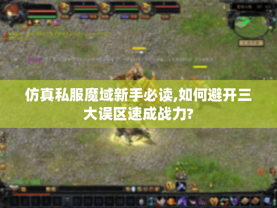 仿真私服魔域新手必读,如何避开三大误区速成战力?