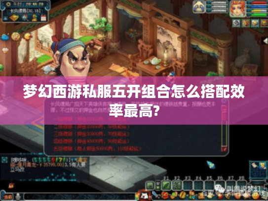 梦幻西游私服五开组合怎么搭配效率最高?