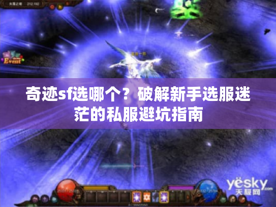 奇迹sf选哪个？破解新手选服迷茫的私服避坑指南