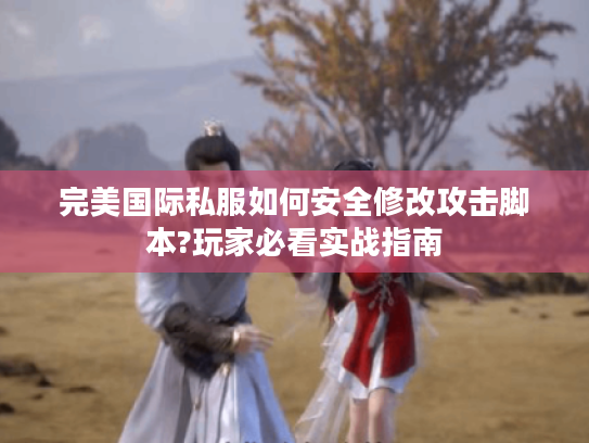 完美国际私服如何安全修改攻击脚本?玩家必看实战指南