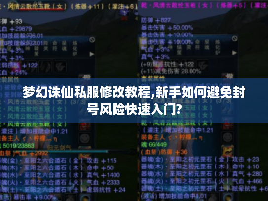 梦幻诛仙私服修改教程,新手如何避免封号风险快速入门?