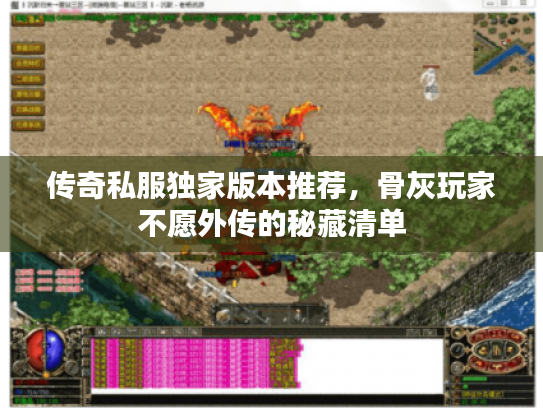传奇私服独家版本推荐，骨灰玩家不愿外传的秘藏清单
