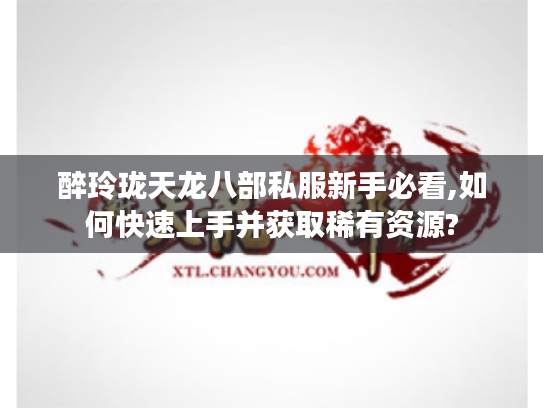 醉玲珑天龙八部私服新手必看,如何快速上手并获取稀有资源?