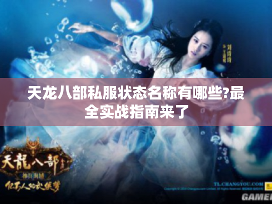 天龙八部私服状态名称有哪些?最全实战指南来了