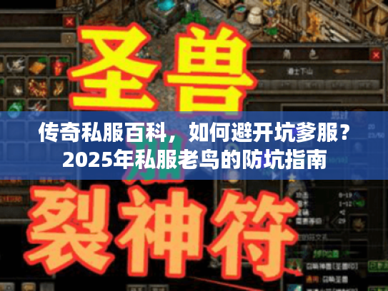 传奇私服百科，如何避开坑爹服？2025年私服老鸟的防坑指南