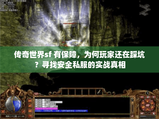 传奇世界sf 有保障，为何玩家还在踩坑？寻找安全私服的实战真相