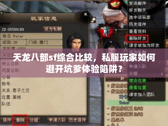 天龙八部sf综合比较，私服玩家如何避开坑爹体验陷阱？
