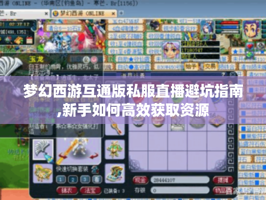 梦幻西游互通版私服直播避坑指南,新手如何高效获取资源