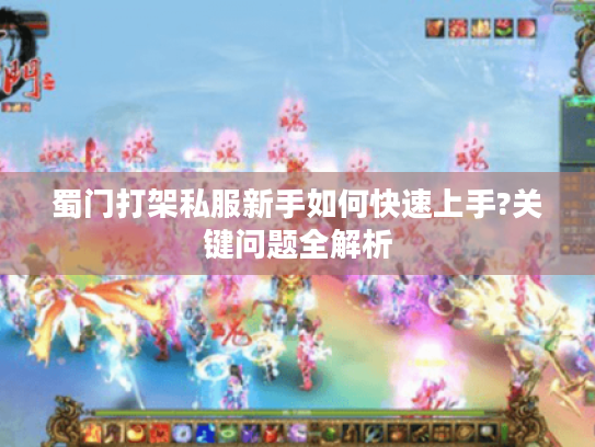 蜀门打架私服新手如何快速上手?关键问题全解析