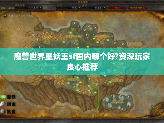 魔兽世界巫妖王sf国内哪个好?资深玩家良心推荐