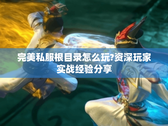 完美私服根目录怎么玩?资深玩家实战经验分享