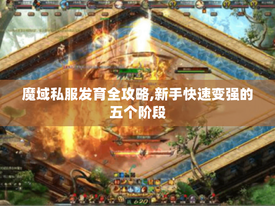 魔域私服发育全攻略,新手快速变强的五个阶段