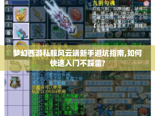 梦幻西游私服风云端新手避坑指南,如何快速入门不踩雷?
