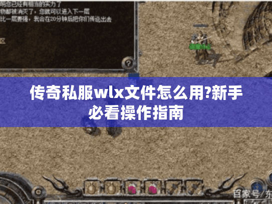 传奇私服wlx文件怎么用?新手必看操作指南