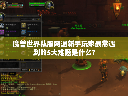 魔兽世界私服网通新手玩家最常遇到的5大难题是什么?