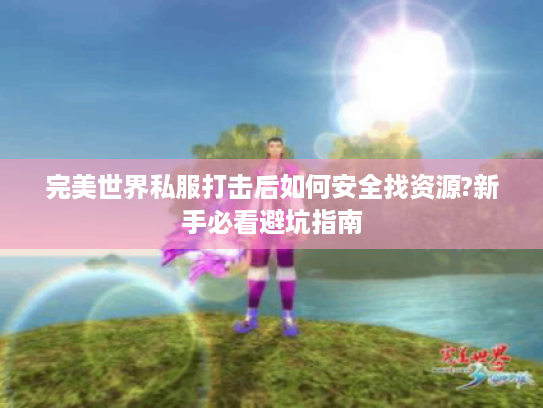 完美世界私服打击后如何安全找资源?新手必看避坑指南