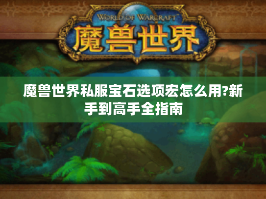 魔兽世界私服宝石选项宏怎么用?新手到高手全指南