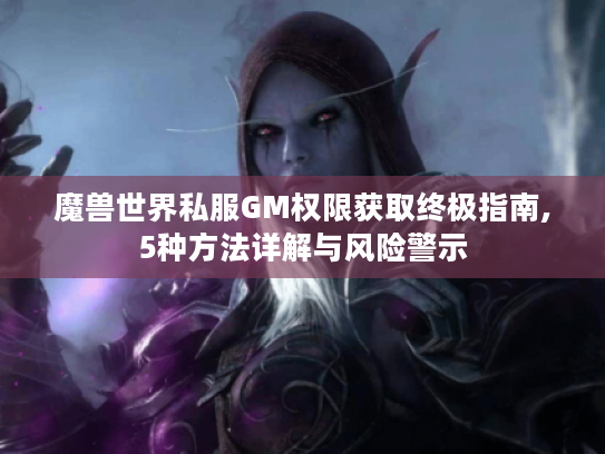 魔兽世界私服GM权限获取终极指南,5种方法详解与风险警示