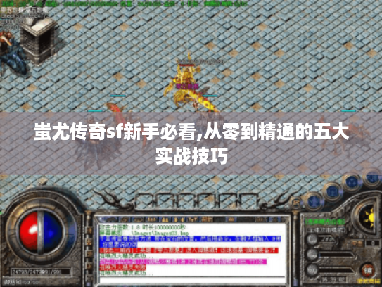 蚩尤传奇sf新手必看,从零到精通的五大实战技巧