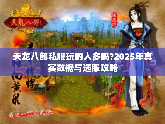 天龙八部私服玩的人多吗?2025年真实数据与选服攻略