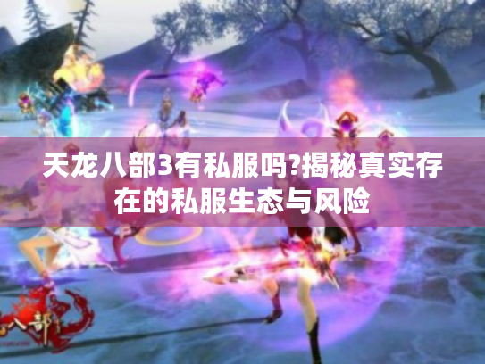 天龙八部3有私服吗?揭秘真实存在的私服生态与风险