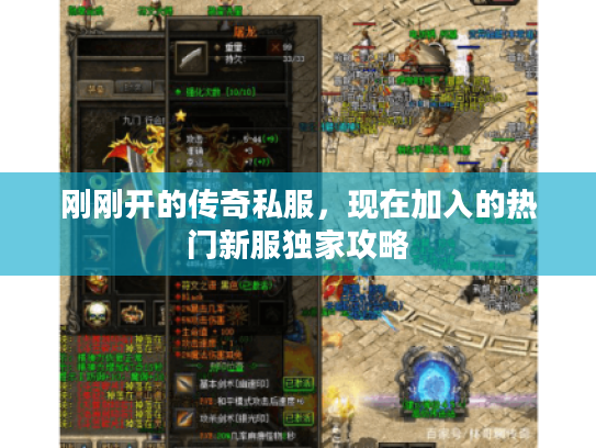 刚刚开的传奇私服，现在加入的热门新服独家攻略