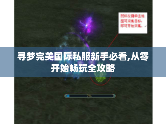 寻梦完美国际私服新手必看,从零开始畅玩全攻略