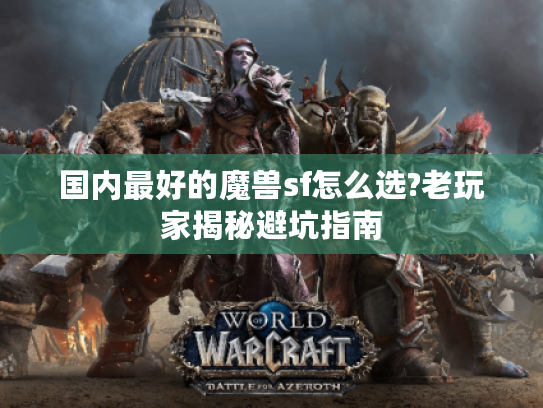 国内最好的魔兽sf怎么选?老玩家揭秘避坑指南