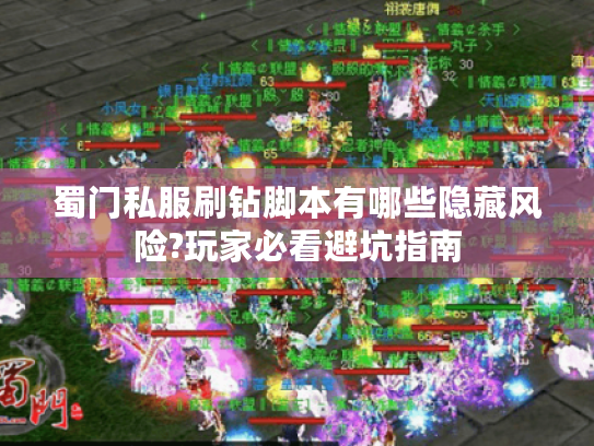 蜀门私服刷钻脚本有哪些隐藏风险?玩家必看避坑指南