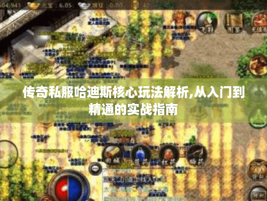 传奇私服哈迪斯核心玩法解析,从入门到精通的实战指南