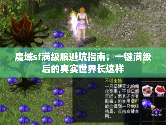 魔域sf满级服避坑指南,一键满级后的真实世界长这样 魔域sf满级服避坑指南,一键满级后的真实世界长这样