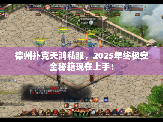 德州扑克天鸿私服，2025年终极安全秘籍现在上手！
