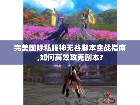完美国际私服神无谷脚本实战指南,如何高效攻克副本?