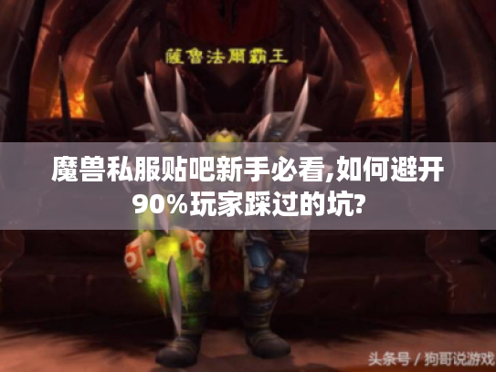 魔兽私服贴吧新手必看,如何避开90%玩家踩过的坑?