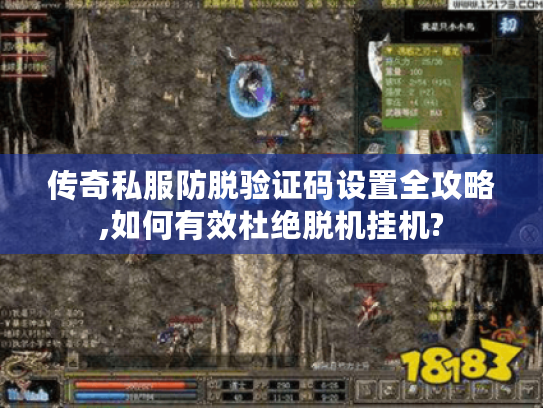 传奇私服防脱验证码设置全攻略,如何有效杜绝脱机挂机?