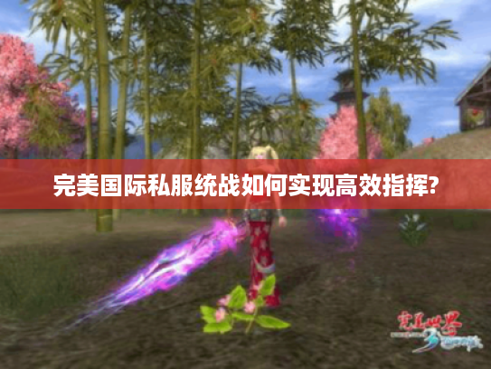 完美国际私服统战如何实现高效指挥? 完美国际私服统战如何实现高效指挥?