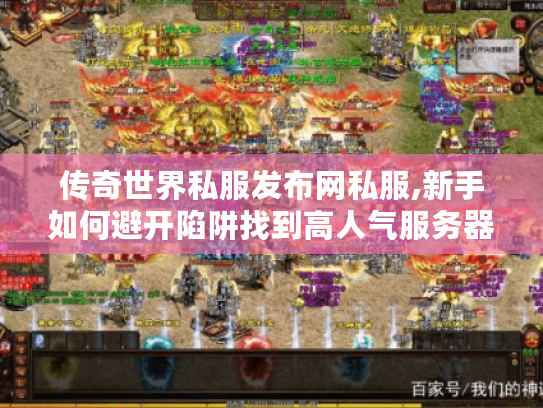 传奇世界私服发布网私服,新手如何避开陷阱找到高人气服务器? 传奇世界私服发布网私服,新手如何避开陷阱找到高人气服务器?