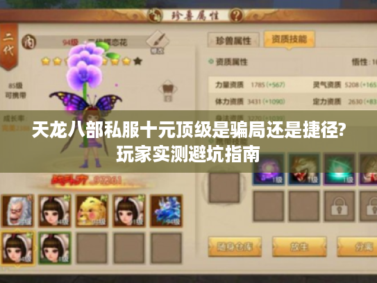 天龙八部私服十元顶级是骗局还是捷径?玩家实测避坑指南