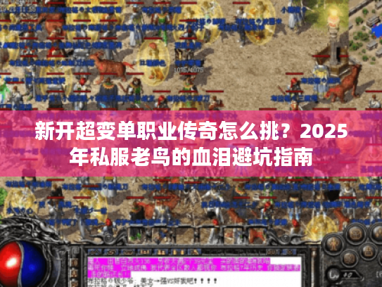 新开超变单职业传奇怎么挑？2025年私服老鸟的血泪避坑指南