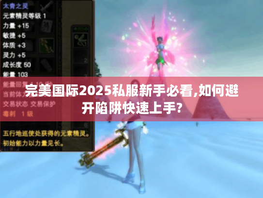 完美国际2025私服新手必看,如何避开陷阱快速上手?