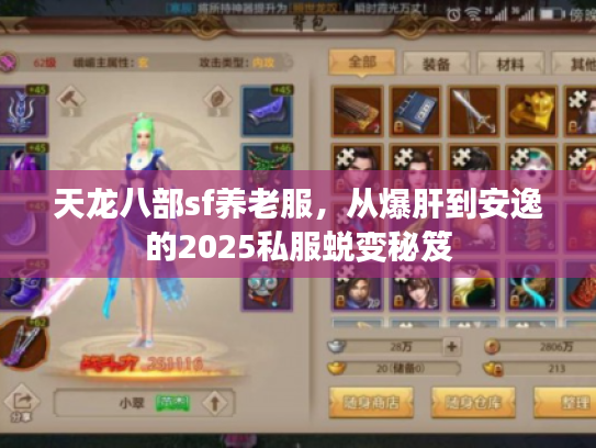 天龙八部sf养老服，从爆肝到安逸的2025私服蜕变秘笈